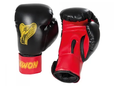 Produktbild von Kinder Boxhandschuhe Cobra 6oz