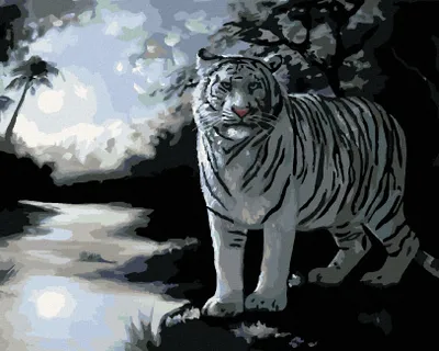 Produktbild von Zuty - Malen nach Zahlen - WEISSER TIGER UND FLUSS (D. RUSTY RUST), 40x50 cm, ohne Keilrahmen