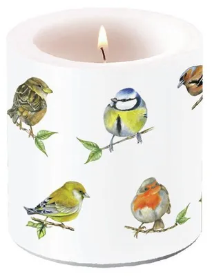 Produktbild von Kerze - klein - Bird species white - Vogelarten