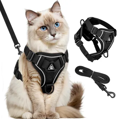 Produktbild von Katzengeschirr mit Leine Ausbruchsicher Verstellbar Softgeschirr Reflektierend Schwarz S