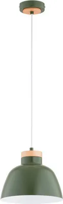 Immagine prodotto di Lampada a sospensione LORIEN verde scuro 1xE27x15W metallo, dimensioni: 90x23x23 cm, IP20, Alfa