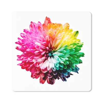 Produktbild von MuchoWow® Mauspad Mousepad Blumen - Regenbogen - Chrysantheme 20x20 cm - Mousepads - Maus Mat - Pad - Mausunterlage - Desk Mat - Bureauartikeln