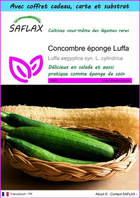 Image de SAFLAX Ensemble-cadeau - Concombre éponge Luffa - 10 graines - Luffa
