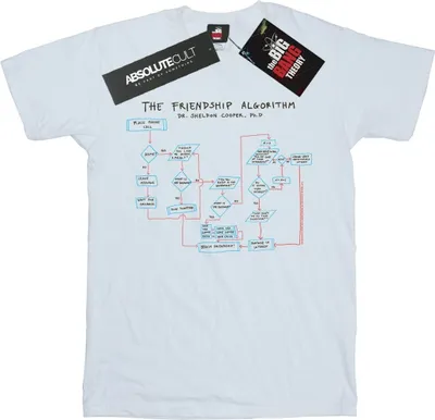 Image de The Big Bang Theory - "Friendship Algorithm" T-shirt pour homme BI12885 (M) (Blanc)