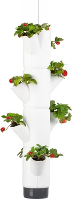Produktbild von SISSI STRAWBERRY hanging - Erdbeerbaum - Pflanzgefäß/Topf/Pflanzturm