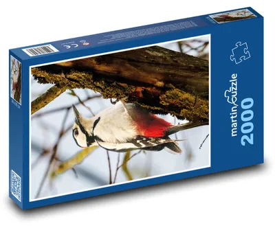 Produktbild von martinpuzzle - Puzzle 2000 Teile - Strakapoud der Große
