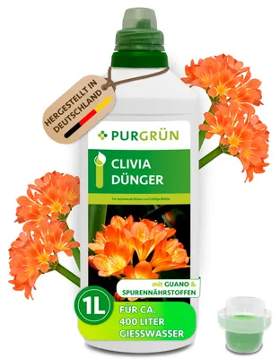 Produktbild von Purgrün Clivia-Dünger 1 Liter