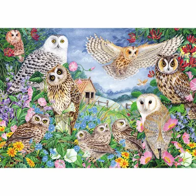 Produktbild von Falcon de luxe Owls in the Wood - 1000 Teile, 1000 Stück(e), Fauna, 12 Jahr(e)