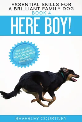 Produktbild von Here Boy!