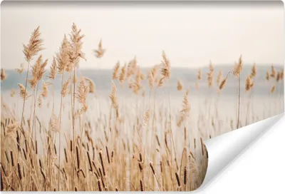 Produktbild von Muralo Selbstklebende Fototapete PFLANZEN See Natur Für Wohnzimmer Büro Br. 208cm x Hö. 146cm