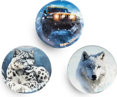 Produktbild von Belmil Patches mit Klettverschluss Set 3-teilig- kompatibel mit Schulranzen Maxi, Maxi Plus, Compact "Winter"