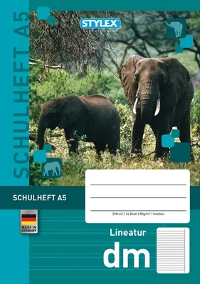 Produktbild von Stylex 29715 Schulheft, Lineatur DM, DIN A5, 16 Blatt