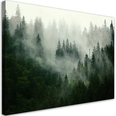 Produktbild von Leinwandbild Wald im Nebel 60x40 Feeby Grün bild für die wand bereit zum aufhängen