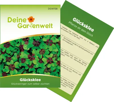 Produktbild von Glücksklee Zwiebeln - Vierblättriger Klee Samen - Oxalis deppei - Glückskleezwiebeln - Glücksbringer zum selber Pflanzen - Geschenkidee - 3 Zwiebeln