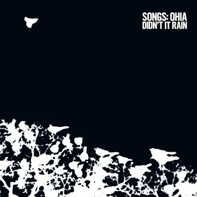 Image de "Didn't It Rain" (édition rémasterisée sur vinyle)