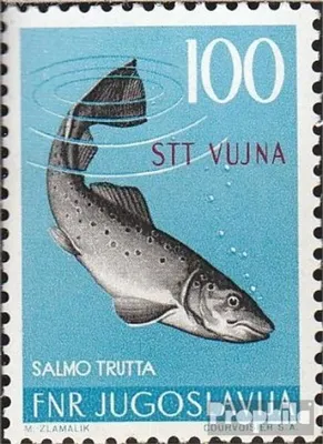 Produktbild von Briefmarken Triest - Zone B 1954 Mi 134 mit Falz Jugoslawische Fauna