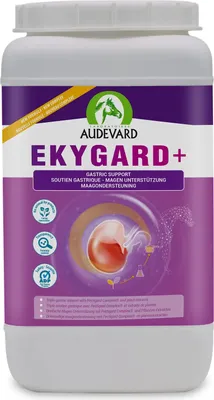 Produktbild von AUDEVARD EKYGARD+ 2,4 kg (NDR)