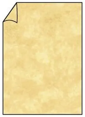 Image de Rössler Papier 220726922 Coloretti Carte individuelle - A4, 165g, 10 pièces, jaune sable