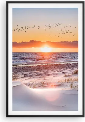 Produktbild von Gerahmtes Poster - Schwarzer Rahmen - Sonne Strand Vögel - 61x91,5 cm - Wand Bild - Wanddeko - Wandbilder - Kunstposter - Wandposter - Bilderrahmen - Bilder - Kunstdruck - P2BPA61x91-4727