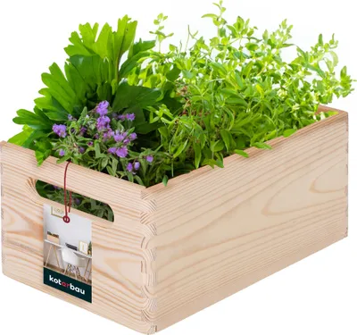 Obrázok produktu pre KOTARBAU® drevená debnička malá bez veka drevené debničky s držadlami univerzálna 30x20x14 cm debnička drevená úložná debnička drevo | drevená debnička bez veka drevená debnička s držadlom debnička na zeleninu