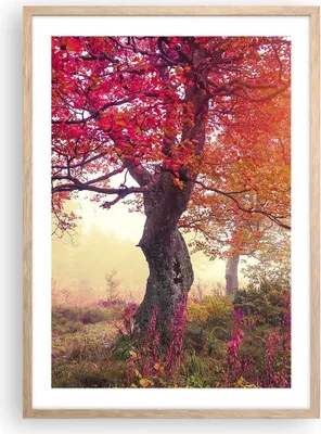 Produktbild von Gerahmtes Poster - Rahmen in heller Eiche - Baum Natur Wiese - 50x70 cm - Wand Bild - Wanddeko - Wandbilder - Kunstposter - Wandposter - Bilderrahmen - Bilder - Kunstdruck - Wandbild - P2NPA50x70-3658