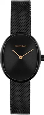Immagine prodotto di Zegarek damski CALVIN KLEIN 25100176 czarny klasyczny
