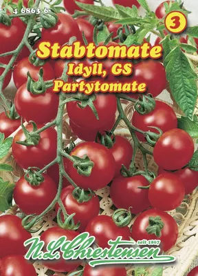 Produktbild von Partytomate Idyll | Kirschtomatensamen von N.L. Chrestensen