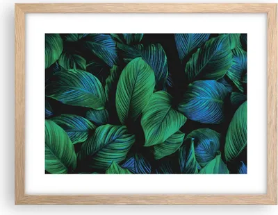 Produktbild von Gerahmtes Poster - Rahmen in heller Eiche - Blätter Pflanzen Exotik - 40x30 cm - Wand Bild - Wanddeko - Wandbilder - Kunstposter - Wandposter - Bilderrahmen - Bilder - Kunstdruck - P2NAA40x30-5066