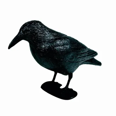 Produktbild von Rabe Kunststoff 38cm schwarz mit Stab + Fen, im Polybeutel