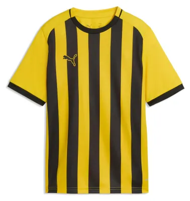 Obrázok produktu pre Detský futbalový dres teamLIGA26 s pruhmi