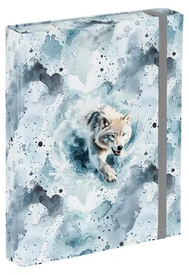 Produktbild von Baagl Heftbox Heftmappe A5 23x17 cm Sammelmappe Gummiband Mädchen - Polar