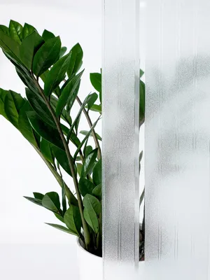 Produktbild von Selbsthaftend Fensterfolie 90x50 cm - Morgen Reif - Sichtschutzfolie Fenster Milchglasfolie statisch haftend - Folie Fenster für Bad und Büro - Tageslicht genießen, Sichtschutz erhalten