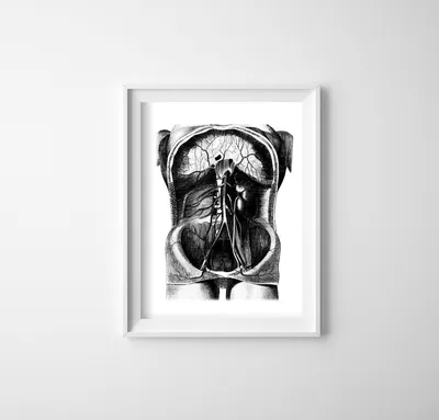 Produktbild von Poster - Canvas - Leinwand - 42 cm x 59,4 cm - Skelett Illustration
