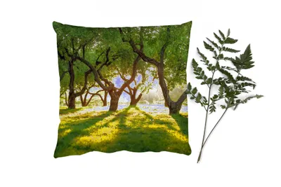 Produktbild von MuchoWow® Zierkissen Sofakissen Wohnzimmer Dekokissen 60x60 cm Bäume - Natur - Sonne - Sitzfläche - Foto Polster
