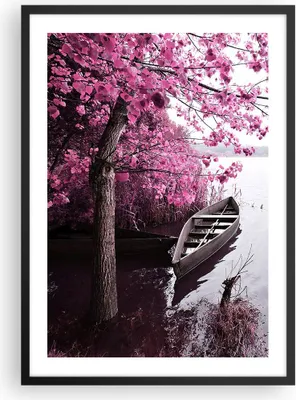 Produktbild von Gerahmtes Poster - Schwarzer Rahmen - See Rosa Bäume - 50x70 cm - Wand Bild - Wanddeko - Wandbilder - Kunstposter - Wandposter - Bilderrahmen - Bilder - Kunstdruck - Wandbild - P2BPA50x70-4147