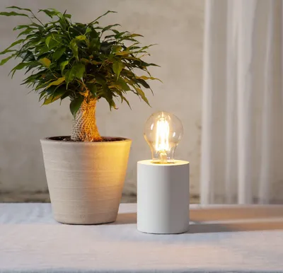 Zdjęcie produktu dla Lampa stołowa drewniana E27 TUB biały
