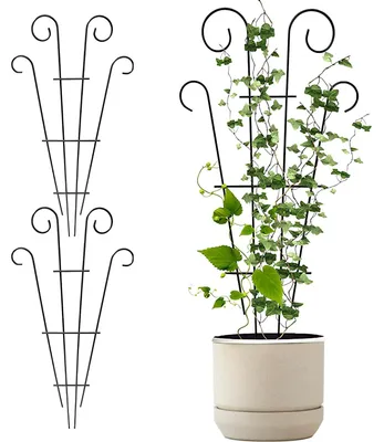 Image de 3 supports pour plantes grimpantes - Supports en acier inoxydable