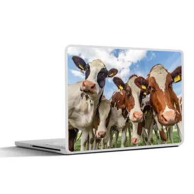 Produktbild von MuchoWow® Laptop Aufkleber Sticker Cover Kühe - Tiere - Wiese - Natur 36.5x27.5 cm - Laptop-Sticker