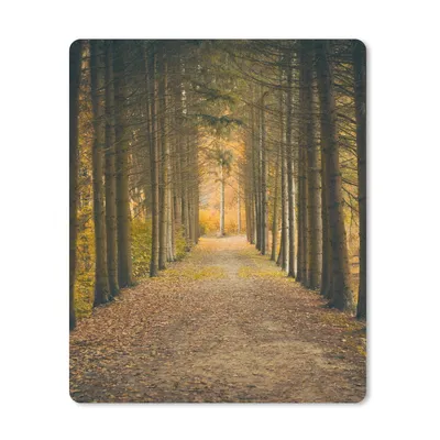 Produktbild von MuchoWow® Mauspad Mousepad Pfad - Bäume - Wald 30x40 cm - Mousepads - Maus Mat - Pad - Mausunterlage - Mausmatten