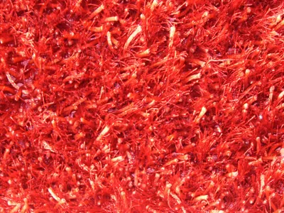 Image de Shaggy Kota cherry (170x240 cm)