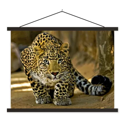 Produktbild von MuchoWow® Textilposter Leopard - Raubtier - Porträt 150x113 cm mit schwarzem Rahmen - Wohnzimmer