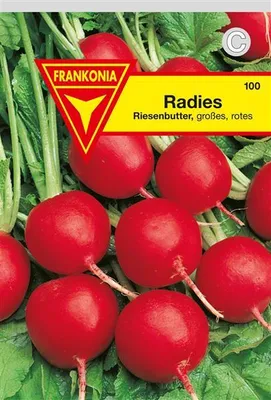 Produktbild von Radies Riesenbutter