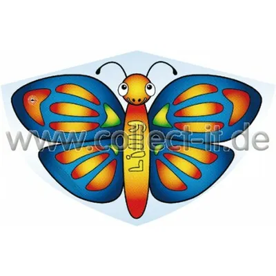 Produktbild von Einleinerdrachen Lilly 75x48 cm