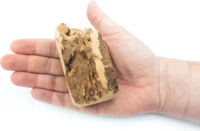 Zdjęcie produktu dla Gryzak dla psa z korzenia wrzośca 4DOGS rozmiar S