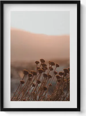 Produktbild von Romantische Graslandschaft im Boho-Stil– Wandbild mit Rahmen – Gerahmtes Bild  – Wanddekoration – 50x70 cm –  Schwarz Rahmen