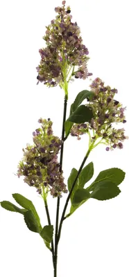 Produktbild von artplants.de Künstlicher Zweig Flieder FANGMEI, lila, 80 cm - Künstliche Blume