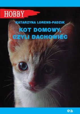 Zdjęcie produktu dla Kot domowy czyli dachowiec