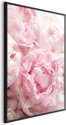 Produktbild von Posterpapier Poster - Morning Nostalgia 40x60 cm Blumen b-B-0384-ao-a