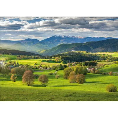 Produktbild von Dino Puzzle Spring at Povraznik 3000 Teile - buntes Puzzlespaß