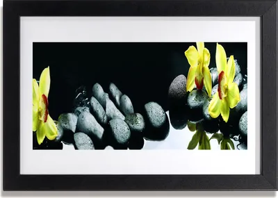 Produktbild von Bild 30x20 MDF-Rahmen Wandkunst Orchidee